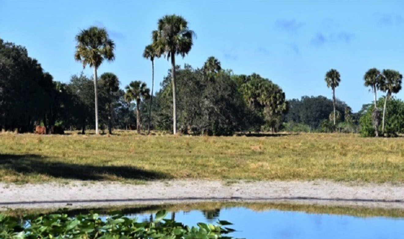 Martin County Ranch Florida Inland Realty