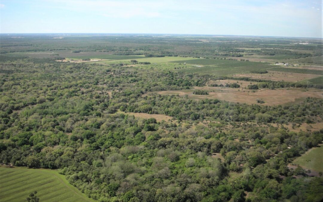 2,232 Acre Beautiful Old Florida Ranch