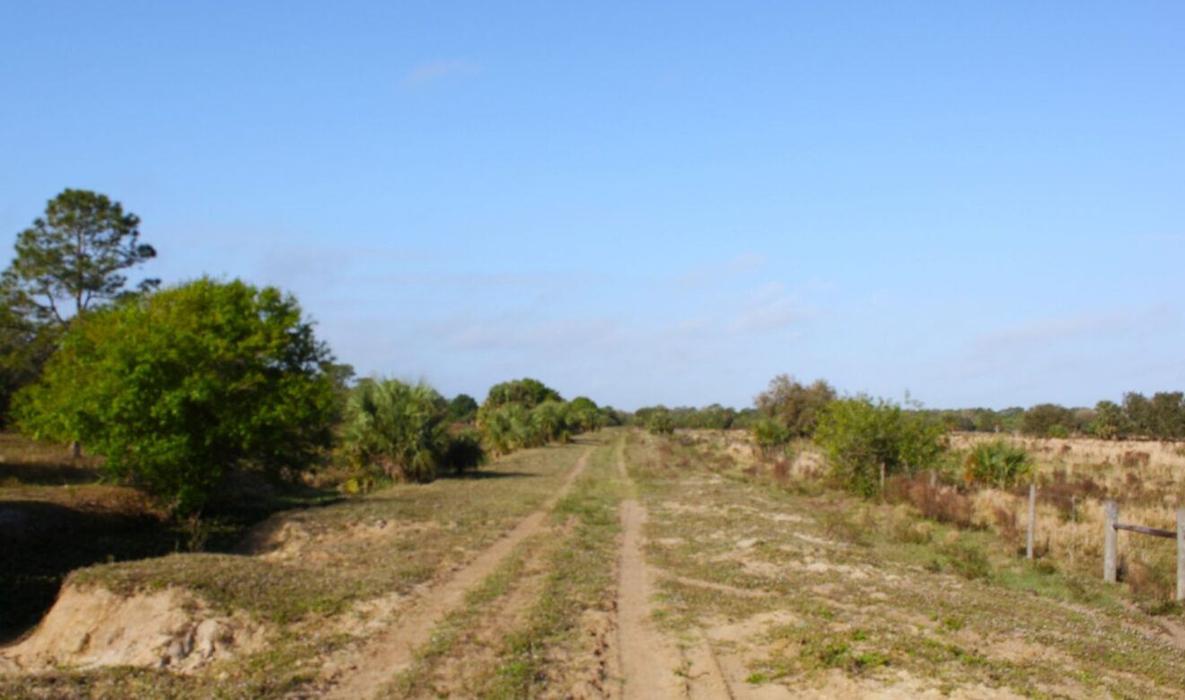 Diked Road in Property