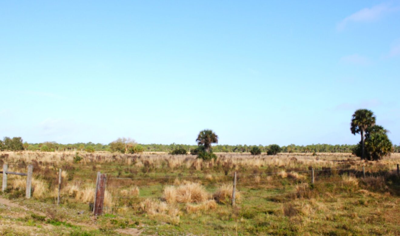 Good Fences throughout Ranch