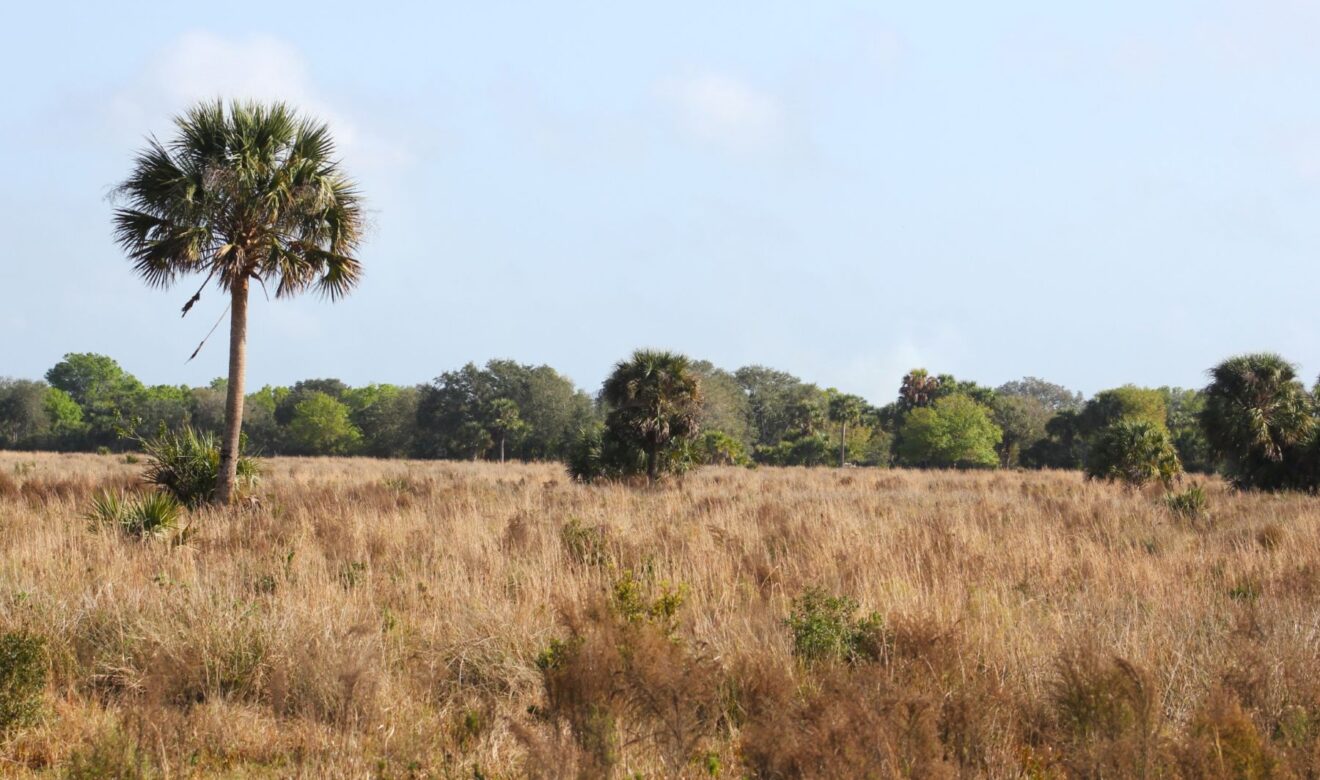 Great Hunting Tract