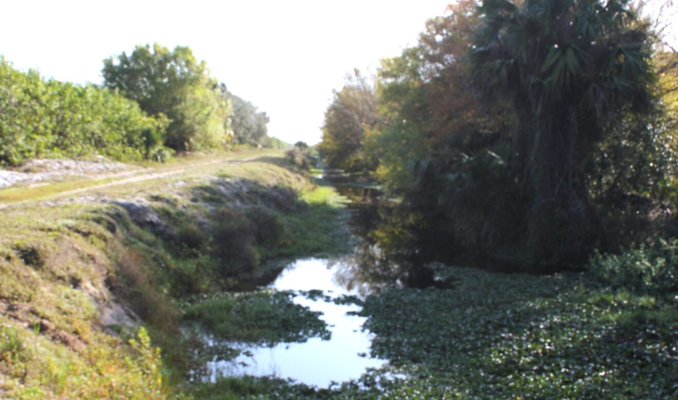 Main Ditch that runs East/West through Ranch