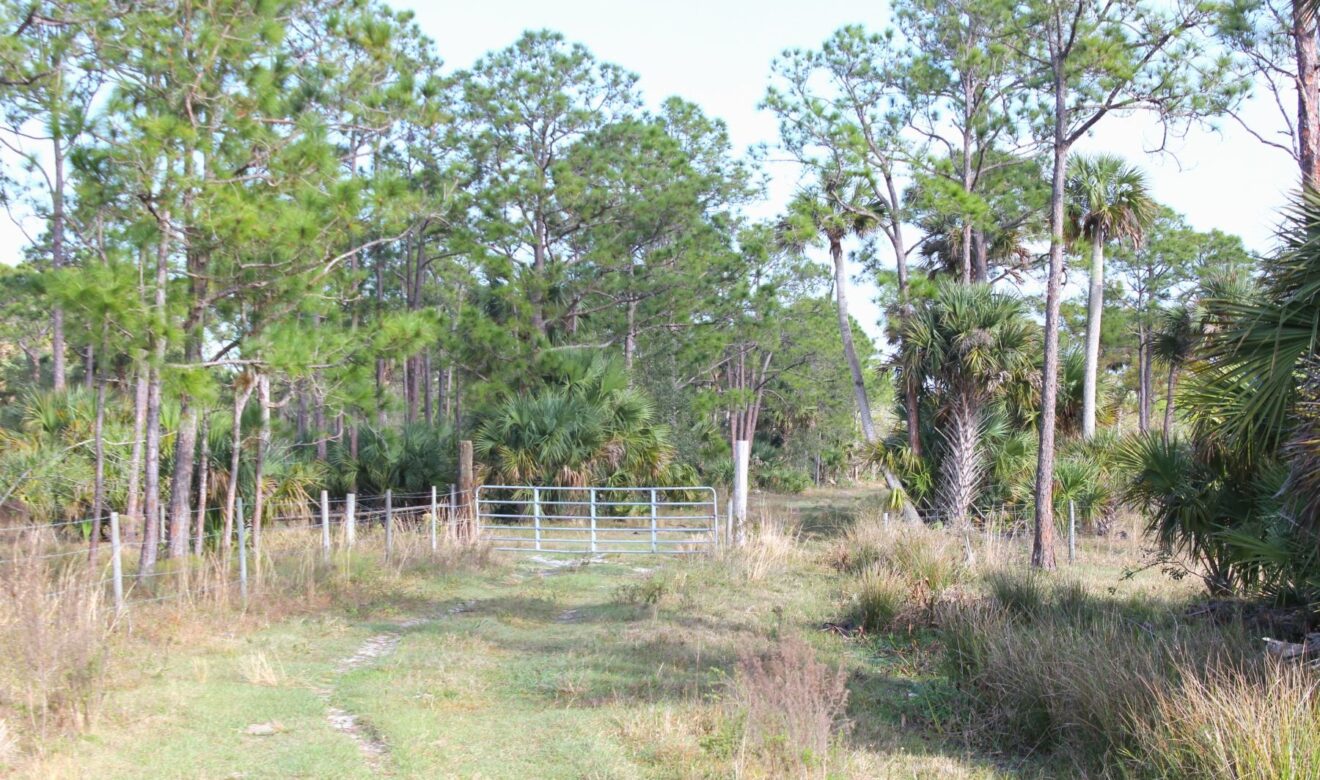 Numerous Pastures on Ranch