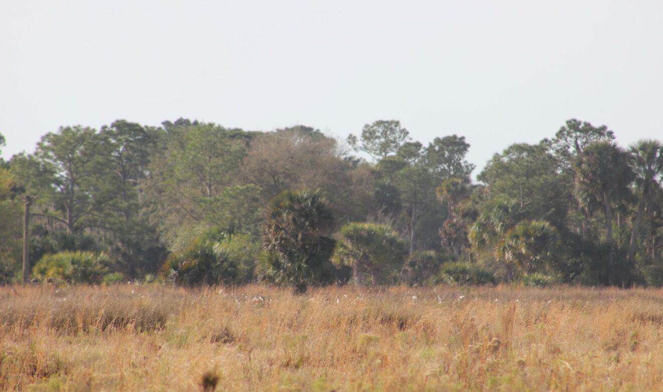 697 Acre St. Lucie Co Ranch