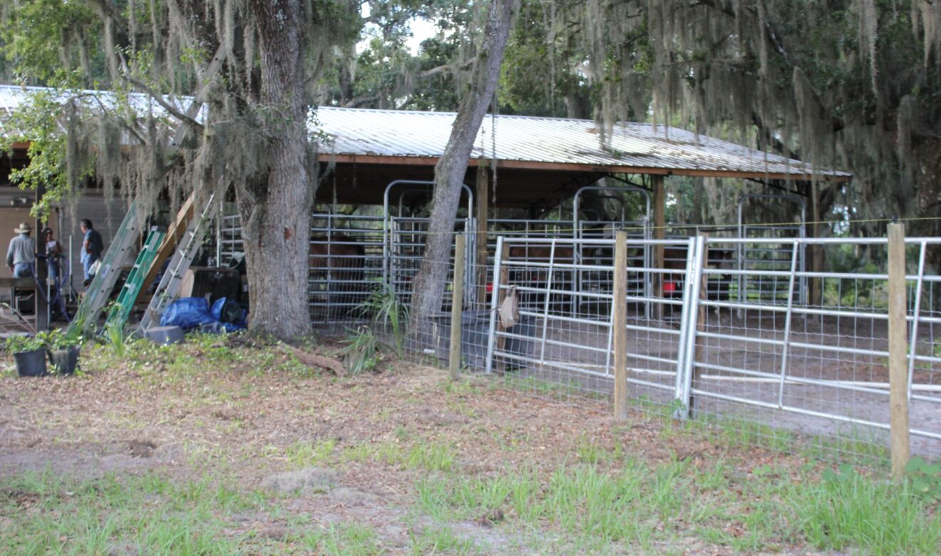 Side View of Metal Pole Barn