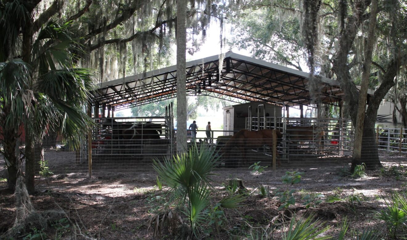 Back View of Metal Horse Barn 