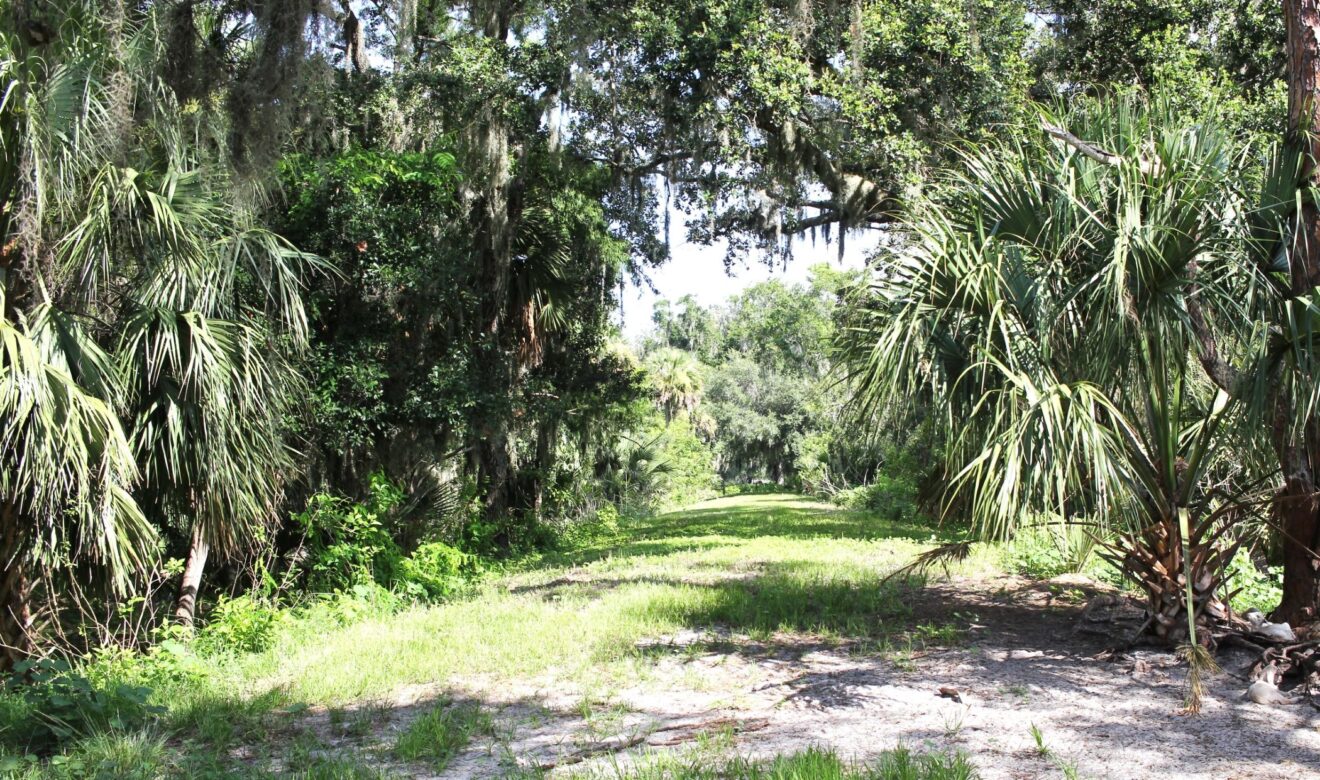 Back Property Line of 44 Acre Ranch 