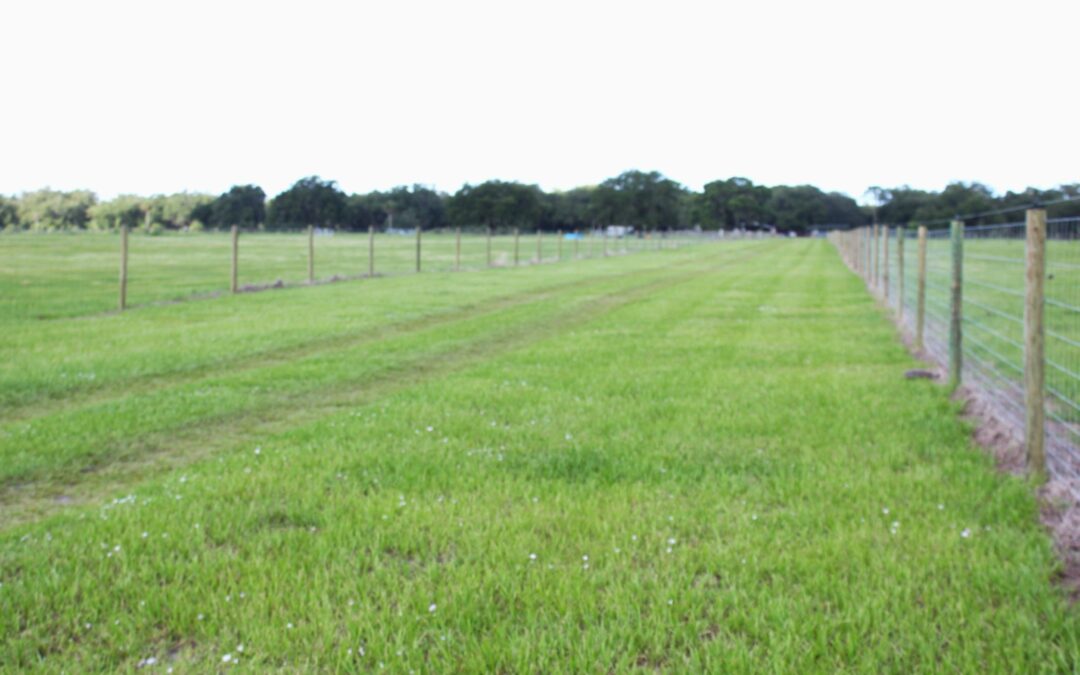 44 Acre Ranch in Beautiful Grand Oaks