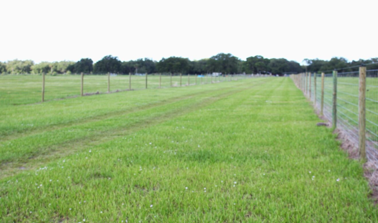 Entrance to Property