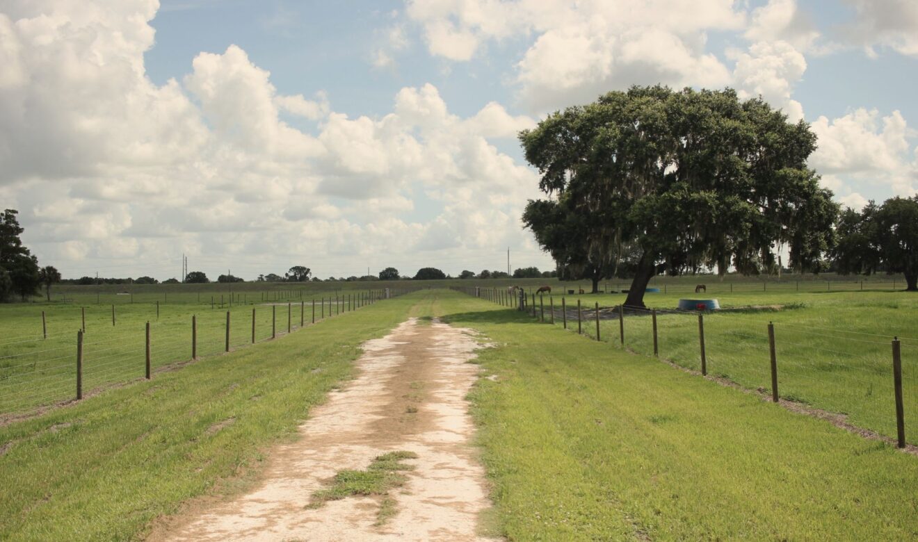Interior Road on Ranch