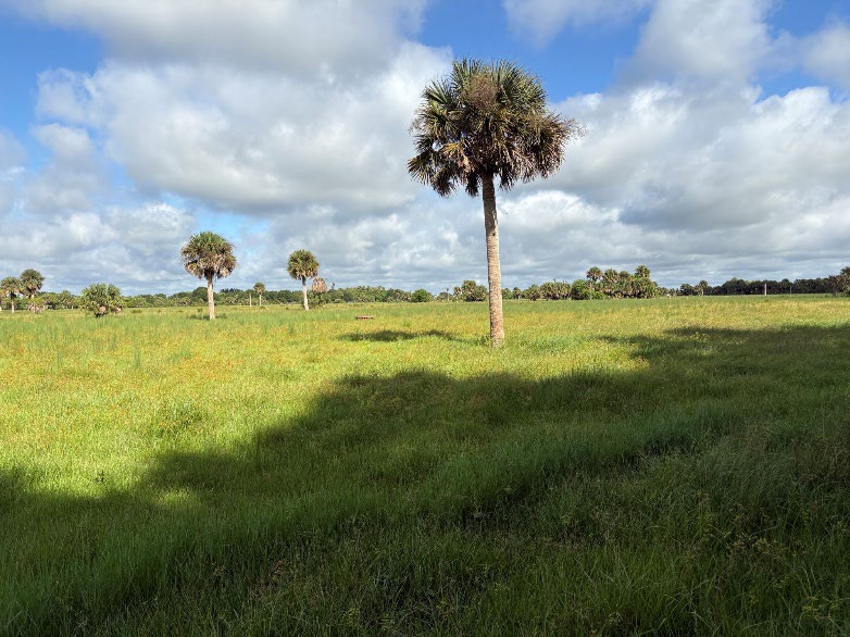 91 acres in St. Lucie County